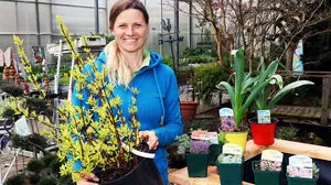 In der Baumschule Teuffenbach in Steindorf hat man Pflanzen für die heiße Jahreszeit