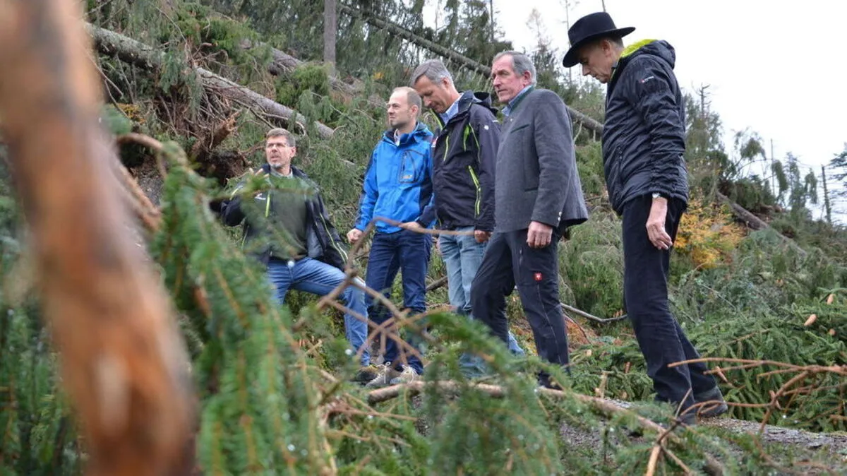 Lokalaugenschein am Ederplan: Franz Mietschnig, Josef Hechenberger, Josef Fuchs, Hermann Kuenz und Konrad Kreuzer