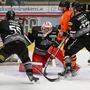 Die Dornbirn Bulldogs ziehen sich aus der ICE Liga zurück, spielen künftig in der AHL