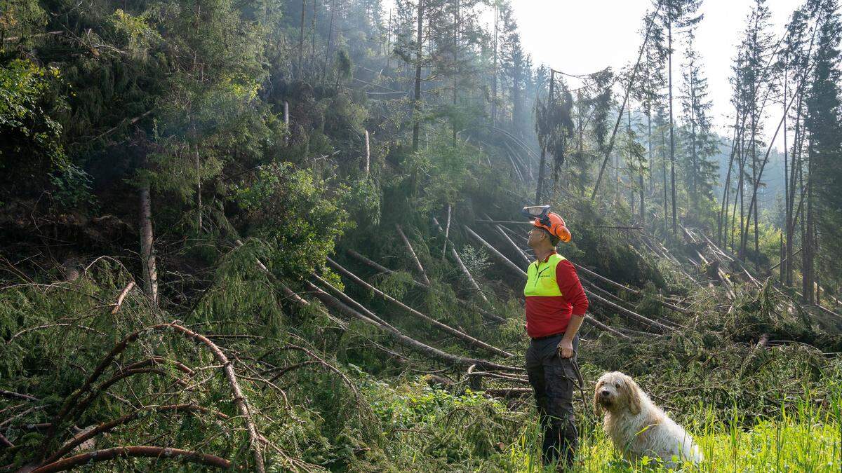 Rund 300 Waldarbeiter verunfallen jährlich in der Steiermark