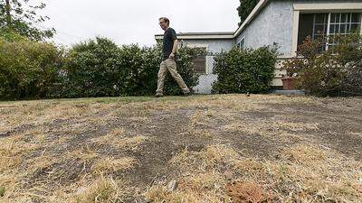 Kalifornischer Albtraum: Verdorrter Rasen