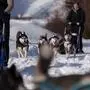 Mit der Husky-Familie durch das verschneite Osttirol