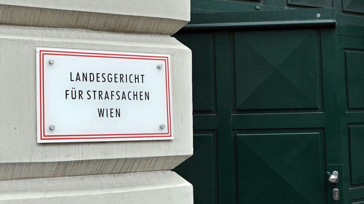 Der Fall eines psychisch Kranken wurde am Montag am Landesgericht Wien verhandelt