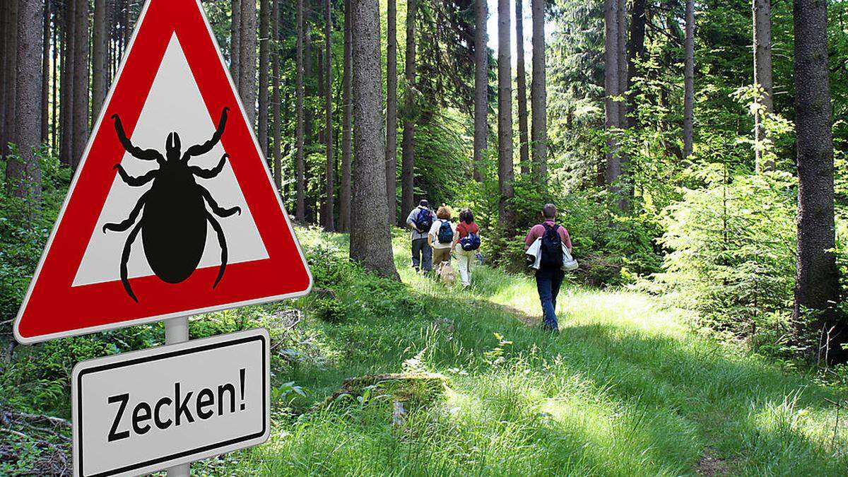 Zecken lauern nicht nur im Wald, sondern auch im Gras und in Büschen in Grazer Parks und Gärten