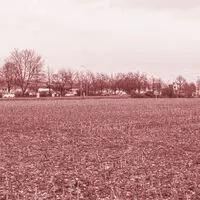 Das Maisfeld wurde gemäht
