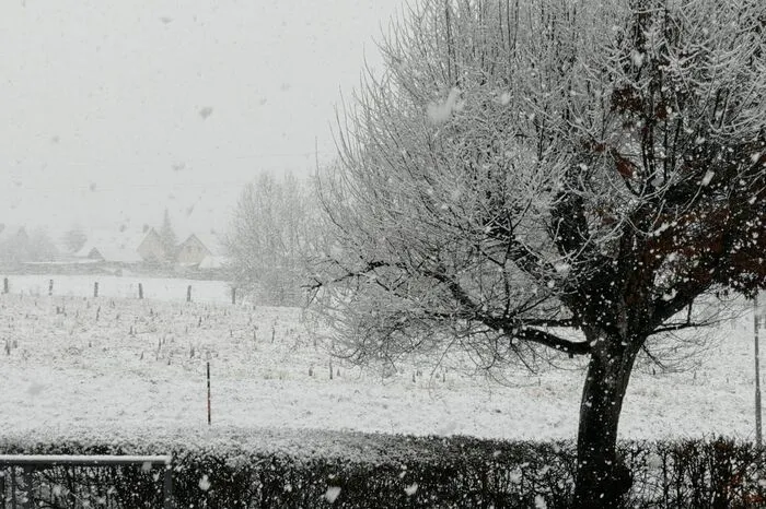 Leichter Schneefall auch in Maria Rain