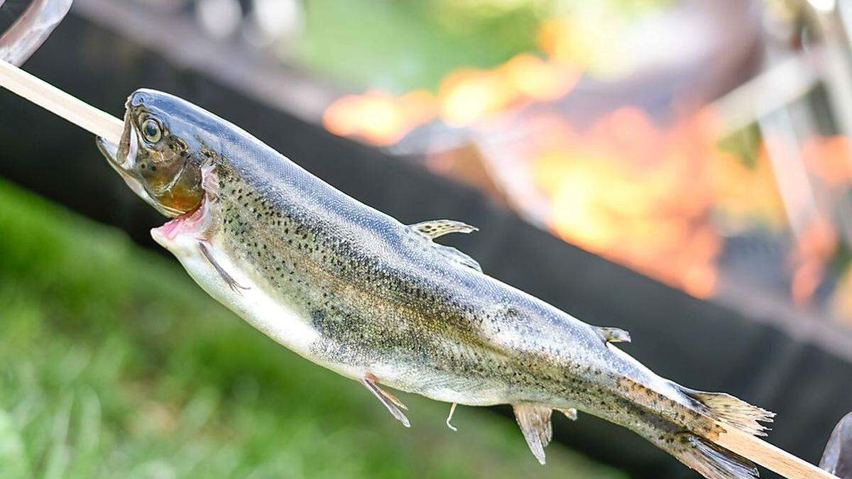 Beim Fischfest in Feld am See dreht sich zum 15. Mal alles um den Fisch