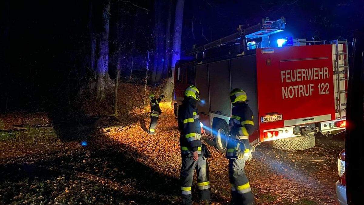 Die Feuerwehr Gnas konnte verhindern, dass der Brand auch auf den angrenzenden Wald übergreift