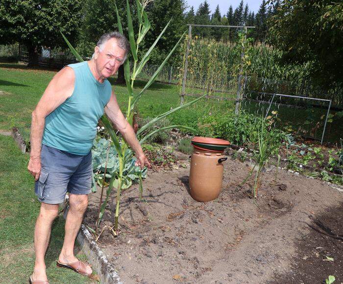 Viel ernten kann Mlinaritsch heuer nicht