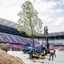 Der erste Baum wurde eingepflanzt