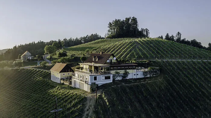 Mangels Nachfolger will Alois Marko sein Weingut in Leutschach via Internet an den Mann bringen. Den neuen Besitzer würde er einschulen. Kaufpreis: 1,35 Millionen Euro. Mehr dazu.