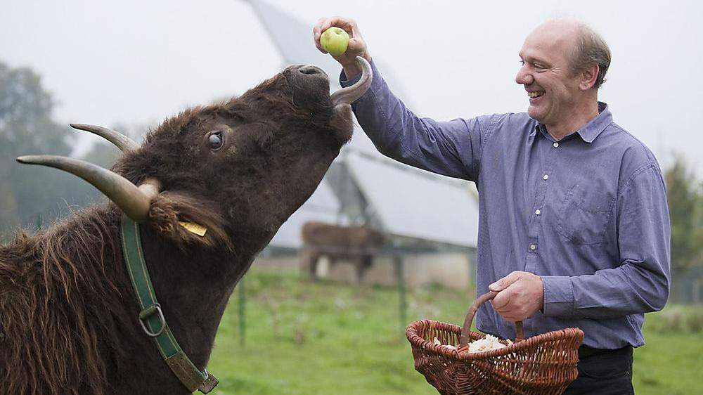 Josef Zotters Rinder könnten bald Forschungsgegenstand in Kalifornien werden 