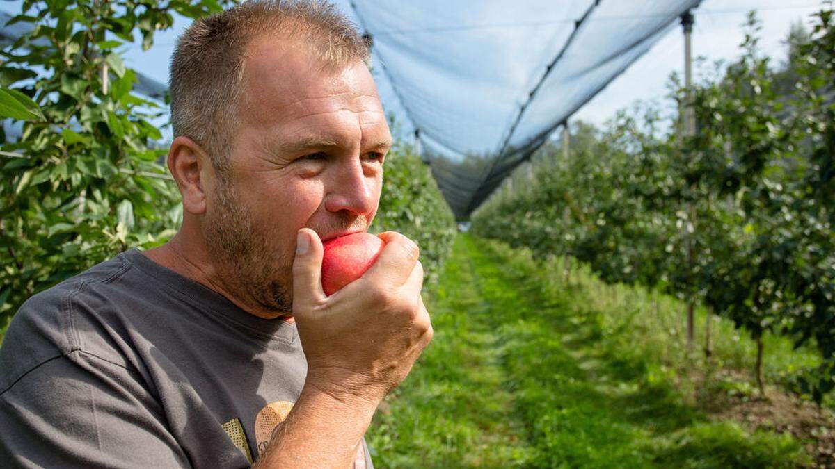Obstbauer Robert Strobl beißt in einen „Sweetango“-Apfel