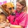 RECORD DATE NOT STATED A Caucasian veterinarian in pink uniform smiling next to a brown dog at Veterinary clinic *** einer kaukasisch Tier