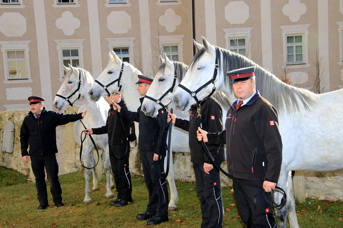 Im Anschluss an die Messe fand die Segnung der Pferde statt. Unter der Führung von Obergestütsmeister Harald Neukam nahmen die Lipizzaner mit ihren Begleitern im Kirchhof Aufstellung.