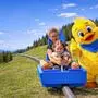 Die Sommerrodelbahn am Klippitztörl wurde modernisiert