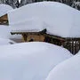 Fütterungsanlagen in Obertilliach