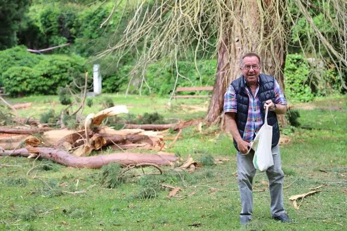 Zahlreiche Menschen kamen in den Park, nachdem das Unwetter abgezogen war um den "geköpften" Baum in Augenschein zu nehmen, auch "Erinnerungsstücke" an den Baum wurden gesammelt.