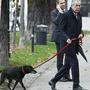 Van der Bellen mit Hund vor der Hofburg - Personenschutz inklusiv