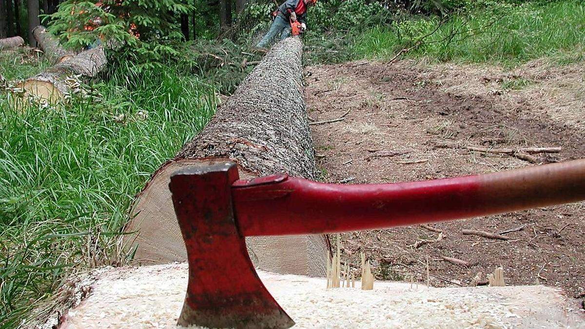 Zu einem Unfall kam es in Kaindorf bei der Waldarbeit (Symbolfoto)