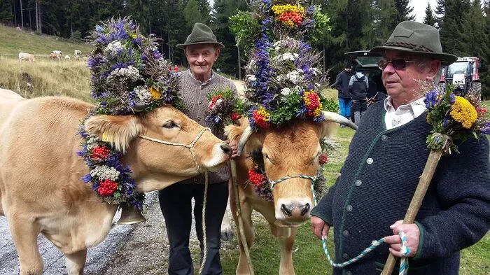 Den Almabtrieb in Mönichwald ließen sich viele nicht entgehen