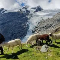 Die Behirtung im Gschlösstal. Im Hintergrund ist das Schlatenkees zu sehen