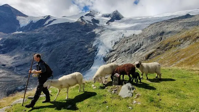 Die Behirtung im Gschlösstal. Im Hintergrund ist das Schlatenkees zu sehen