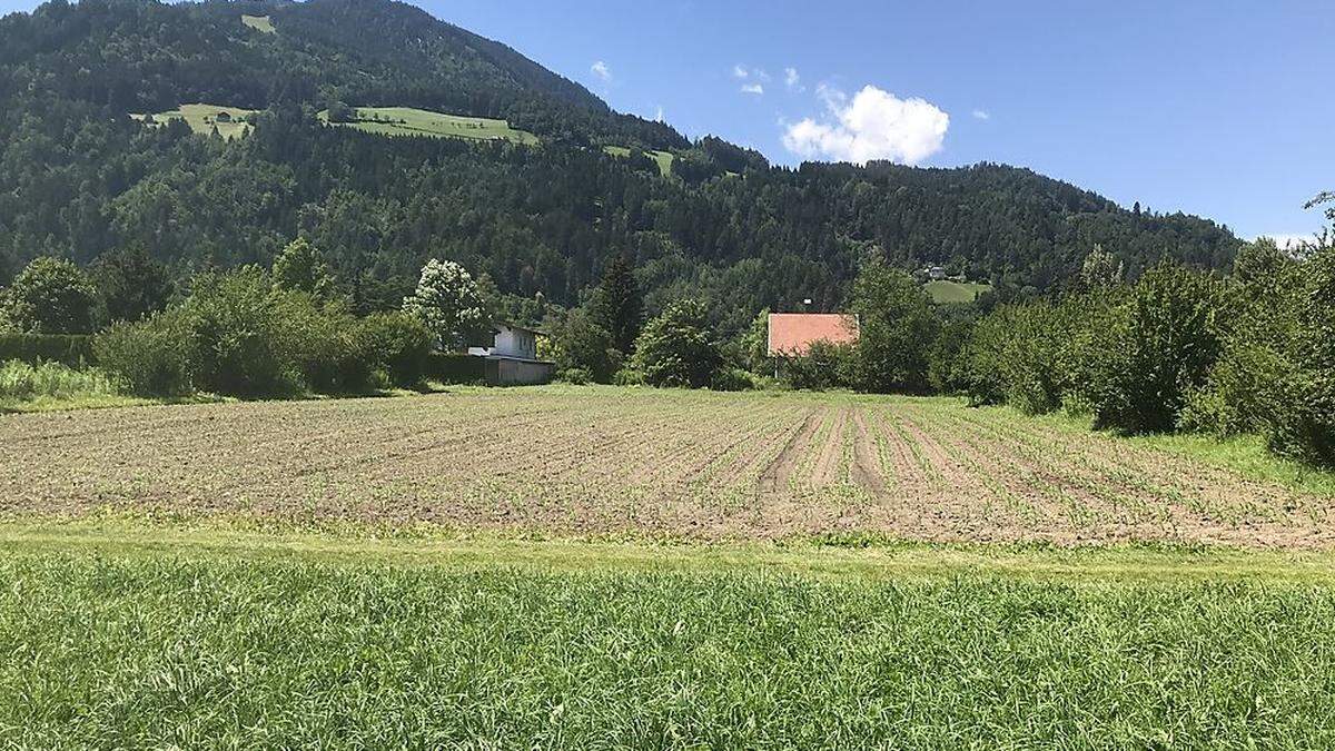 Hier will Blanik 4000 Quadratmeter landwirtschaftlichen Grund kaufen 