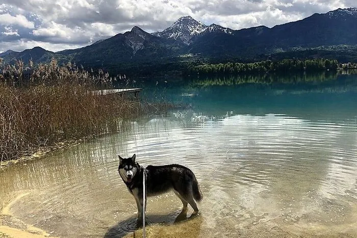 Sabine Wulz sendet uns liebe Grüße vom Spaziergang am Faaker See