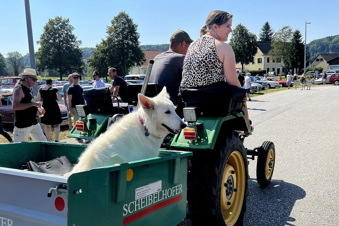 ...Motorräder wie klassische Traktore.