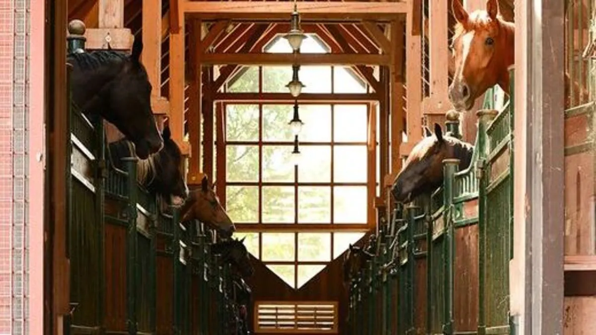 Stall der Pferdeklappe des österreichischen Tierschutzverein