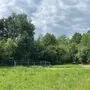 Und weg sind sie: Die drei Altfahrzeuge neben der Kläranlage in Pöllau wurden entfernt