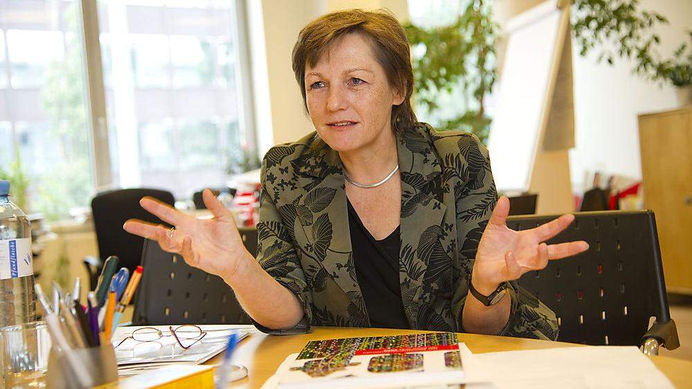 Elke Lujansky-Lammer, Anwältin für Gleichbehandlung in der Arbeitswelt