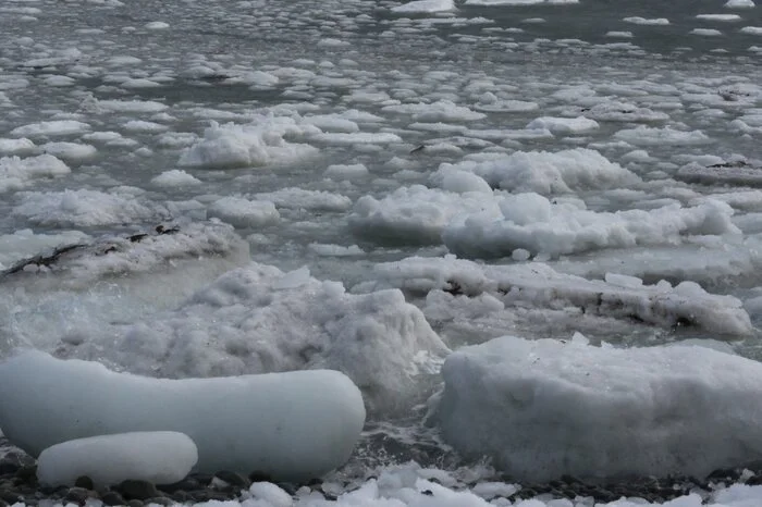 Bis zu 15.000 der Eisriesen flanieren pro Jahr auf der sogenannten Eisberg-Allee.