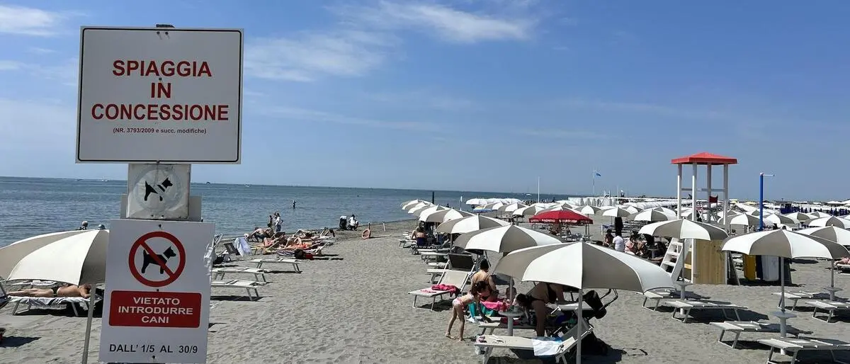 Ein Strand mit Liegen in Grado