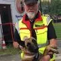 Armin Ertler ist seit 47 Jahren als Rettungshundeführer tätig