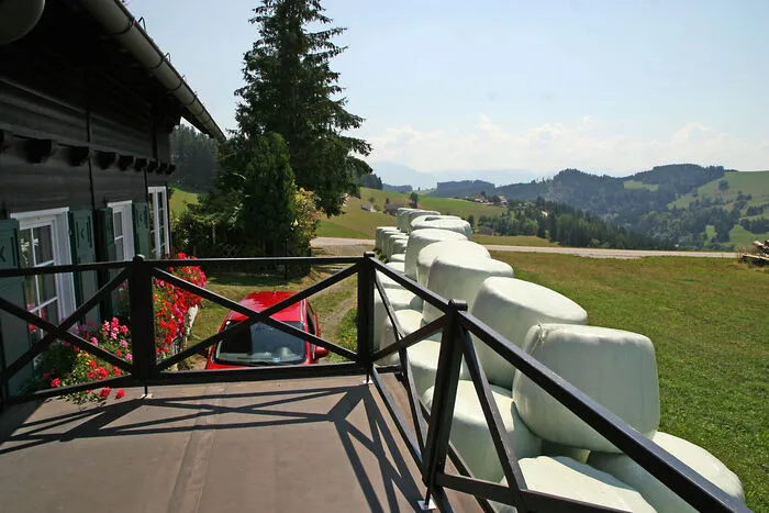 Ein Blick von der Aussichtsterrasse auf das "Landart"-Objekt entlang der Grundstücksgrenze