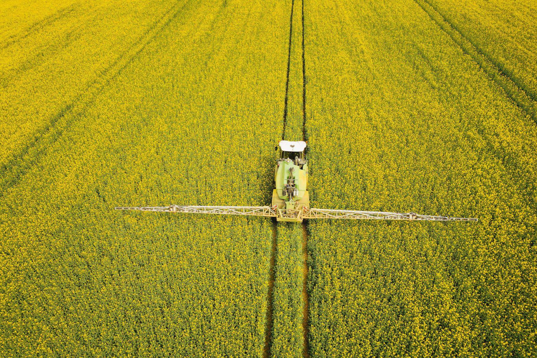 Viele Not-Zulassungen: Rechnungshof kritisiert Pestizid-Einsatz in heimischer Landwirtschaft 