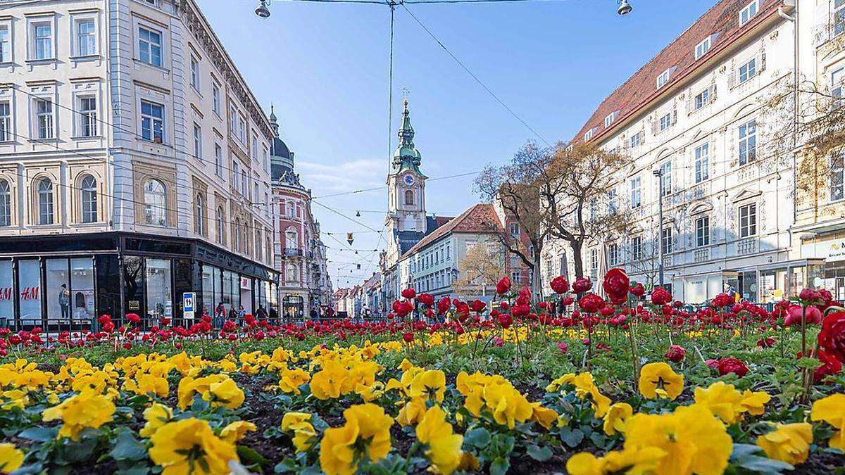 Eine Stadt blüht auf.