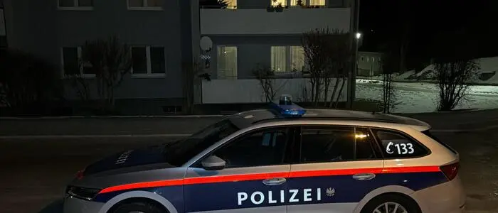 Am 18. Februar sind ein toter Säugling und seine schwer verletzte Mutter entdeckt worden | Am 18. Februar sind ein toter Säugling und seine schwer verletzte Mutter entdeckt worden