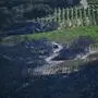 Waldbrände in Frankreich und anderen Ländern weiten sich aus
