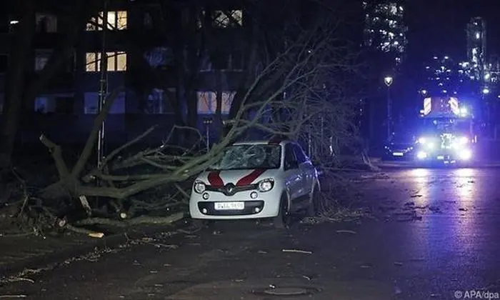 Umgestürzte Bäume wurden zur Gefahr. 
