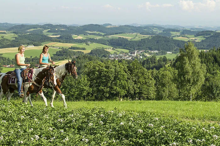 Rund 50 Betriebe - von Landwirtschaften über Buschenschanken, Wirtshäuser bis hin zu Pensionen und Hotels - haben sich dem Reittourismus verschrieben.