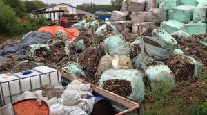 Die illegale Deponie in Werndorf | Die illegale Deponie in Werndorf