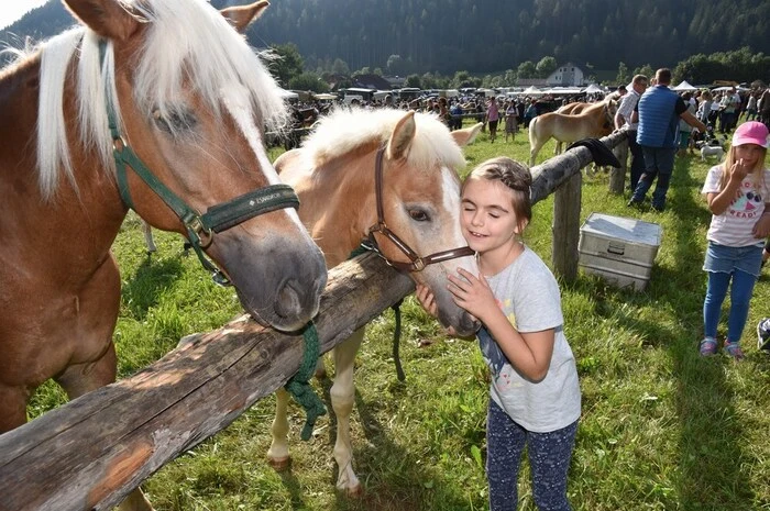 Weitere Bilder!