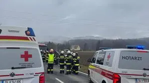 Rettung und Feuerwehr waren vor Ort