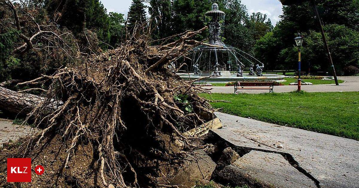 Grazer Stadtpark | Erste Konsequenz Nach Unwetter Mit Todesfolge