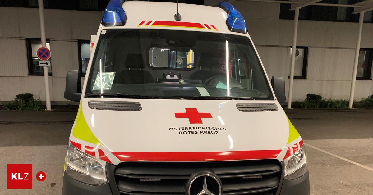 Ins-LKH-Leoben-gebracht-Paragleiter-st-rzte-auf-Pr-bichl-Passstra-e-ab