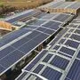 Auf 30.000 Quadratmetern Dachfläche wird Sonnenstrom erzeugt