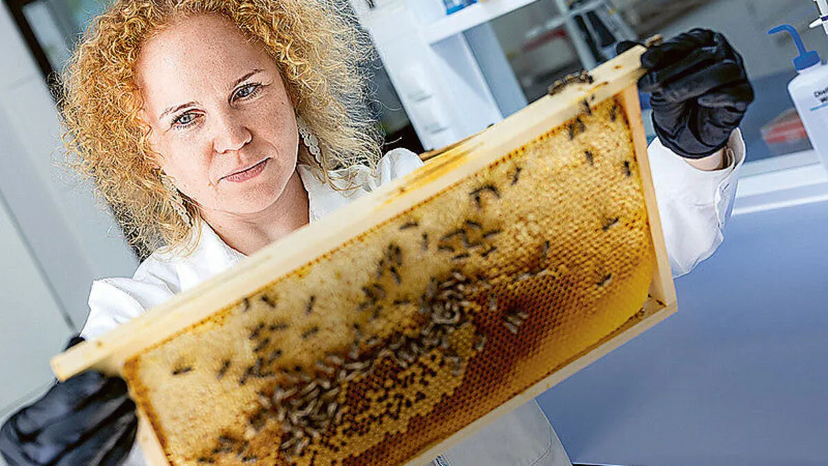 Dalial Freitak: „Die erste Impfung für Insekten eröffnet völlig neue Perspektiven, um schwere Krankheiten zu bekämpfen.“ 